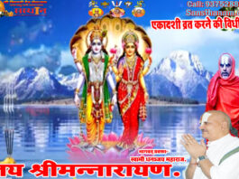 शास्त्रानुसार एकादशी व्रत करने की विधि।। Ekadashi Vrat Karane Ki Vidhi